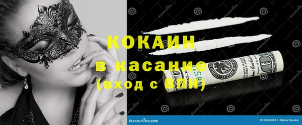 ПСИЛОЦИБИНОВЫЕ ГРИБЫ Касимов