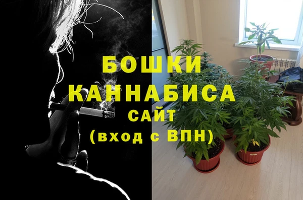 ПСИЛОЦИБИНОВЫЕ ГРИБЫ Касимов