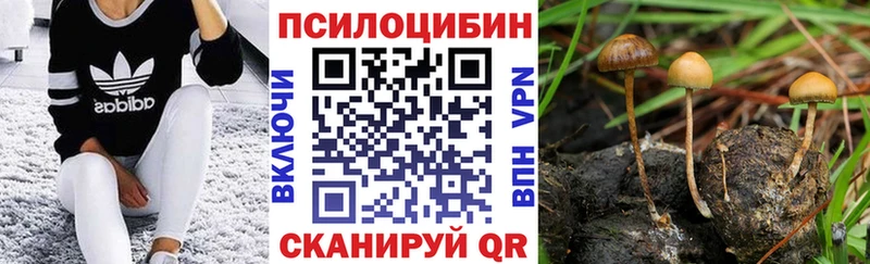 Псилоцибиновые грибы Psilocybine cubensis Сусуман